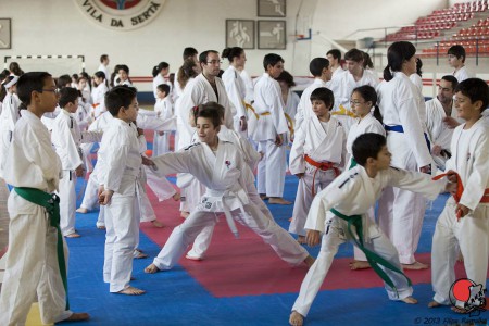 Centro de Karaté Shotokan de Ferreira do Zêzere no III Treino/Torneio da ANAM 2012/2013